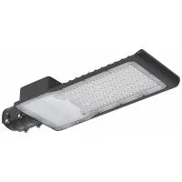 Уличный светодиодный светильник ДКУ 1013-100Д 5000К IP65 IEK