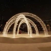 Новогодний тоннель "Врата Волшебства"