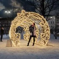Новогодний тоннель 2.47 м