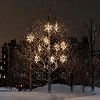 Новогодние мотивы «Снежинка» для светового украшения деревьев