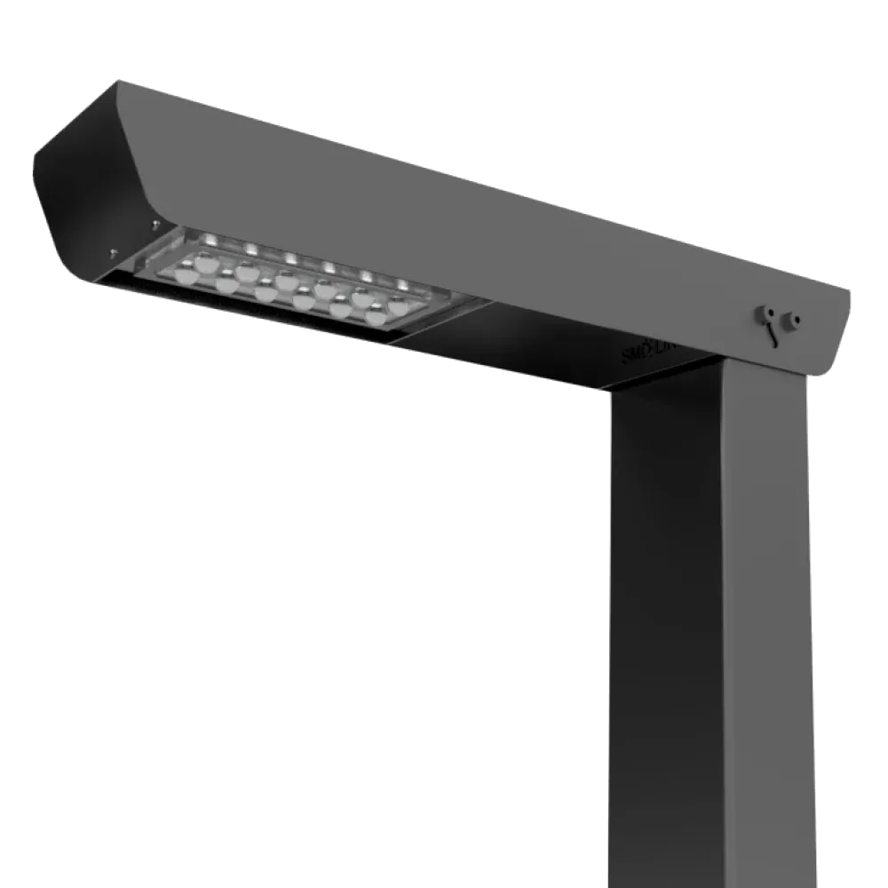 Парковый светодиодный светильник SMD-PARK-FLEX F1 50Вт